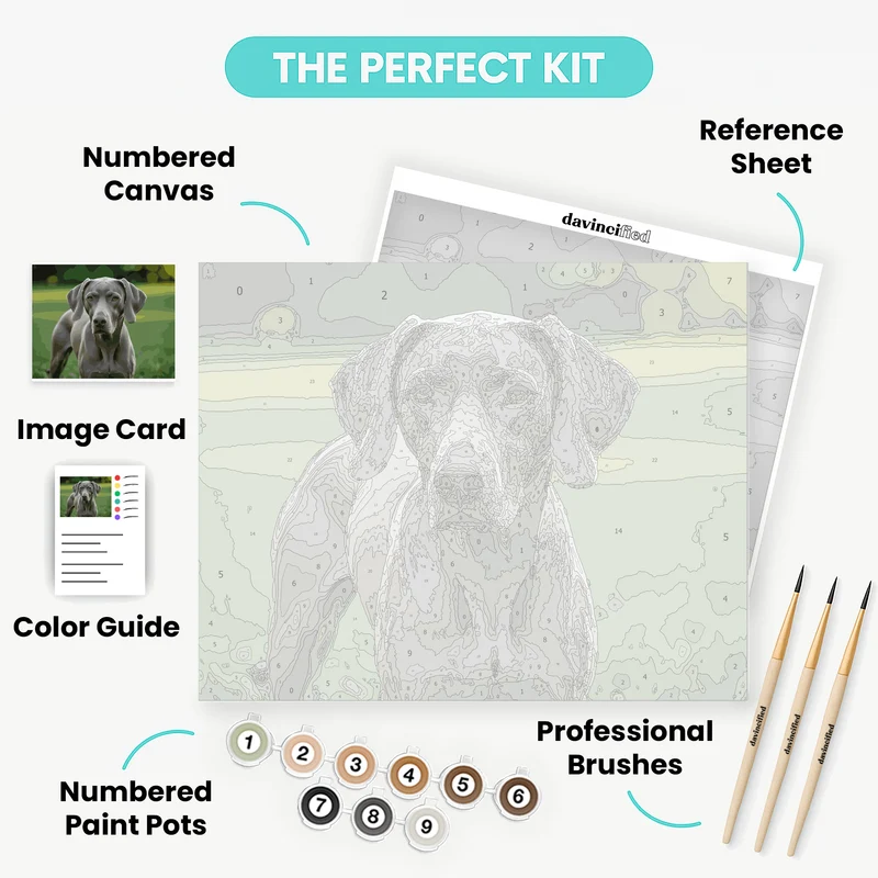 Elegant Weimaraner in Natural Setting - Paint by Numbers Kit