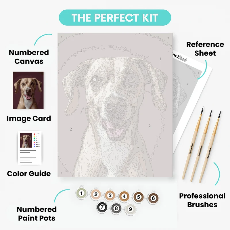 Happy Brown and White Dog Portrait - Paint by Numbers Kit