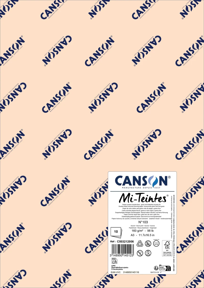 Carta per pastello Canson Mi-Teintes A3 160 g - 10 fogli