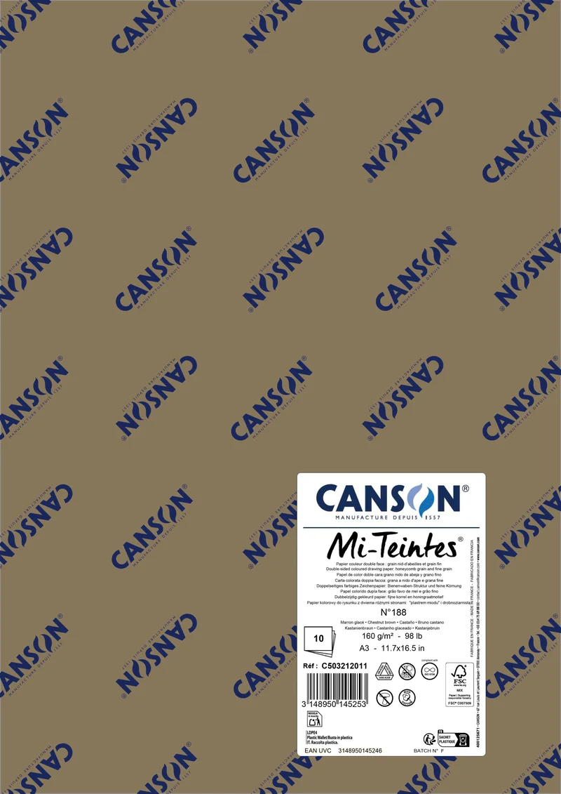 Carta per pastello Canson Mi-Teintes A3 160 g - 10 fogli
